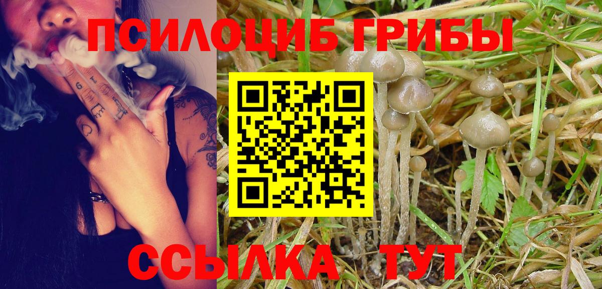Трёхгорный  Псилоцибиновые грибы Cubensis  Вход с VPN 